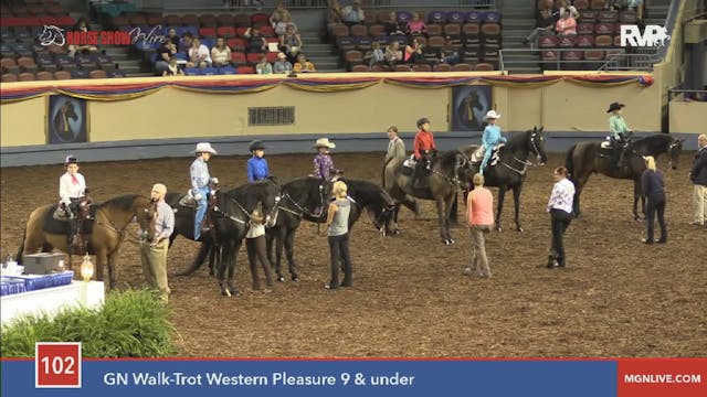 2015 MGN - Class 102 GN Walk:Trot Wes...