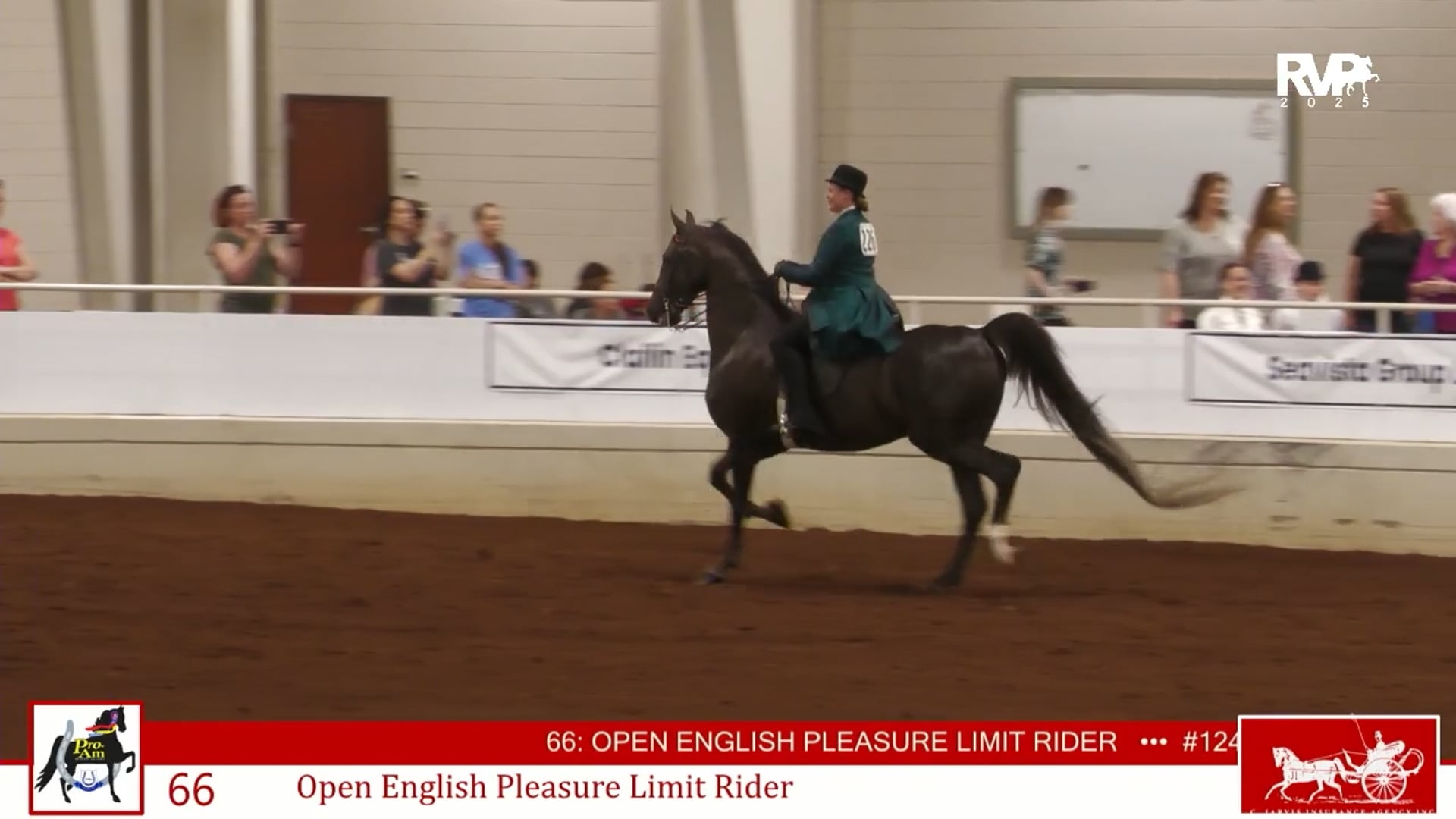 ProAm25 - Class 66 - Open English Pleasure Limit Rider
