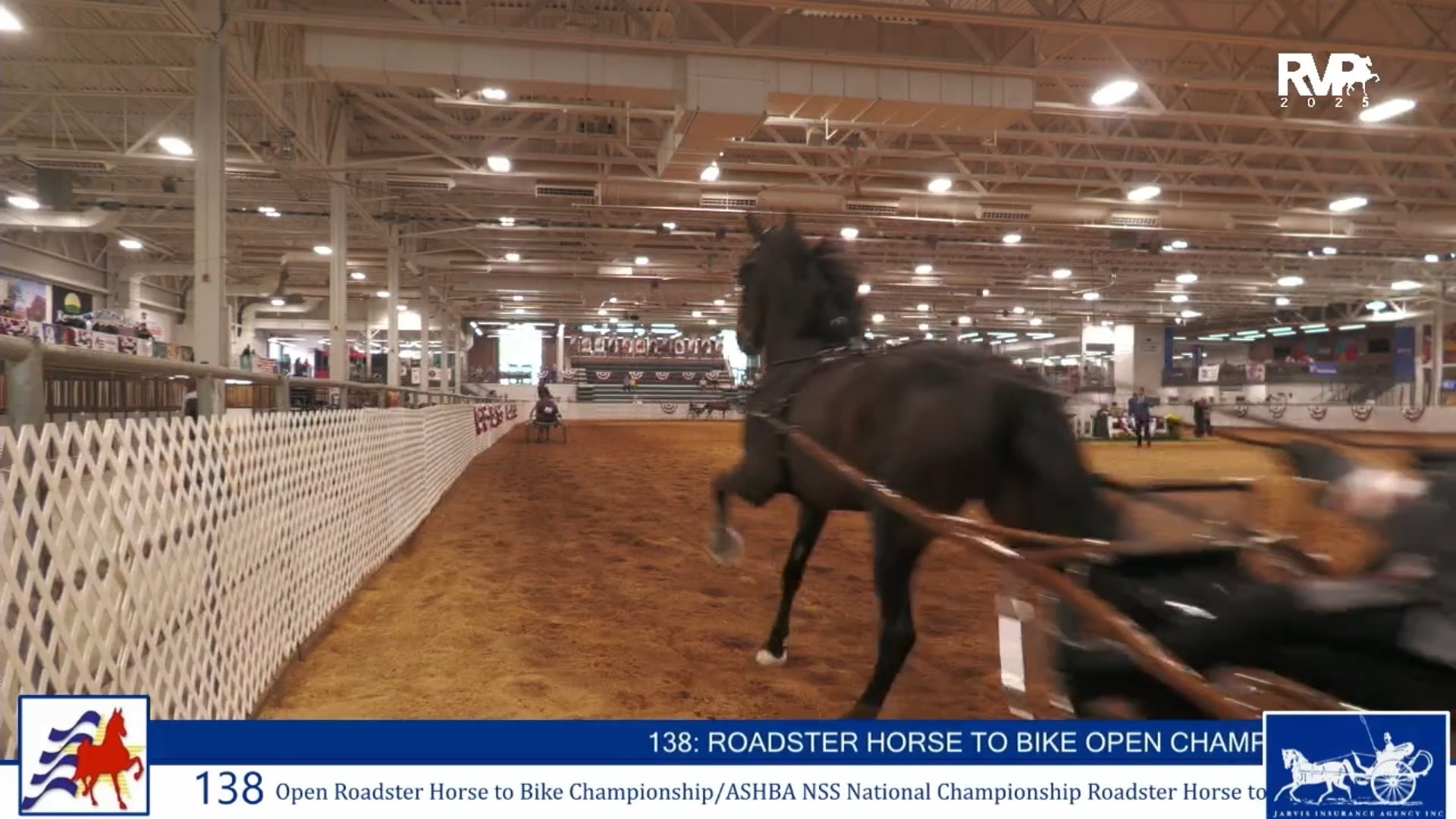 AAC25 - Class 138 - Open Roadster Horse to Bike Championship-ASHBA NSS Nat Championship Roadster Horse to Bike