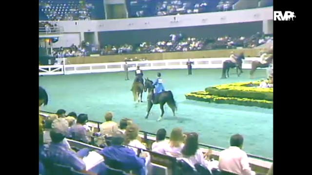 1988 WCHS Class 55 Three Gaited Pleas...