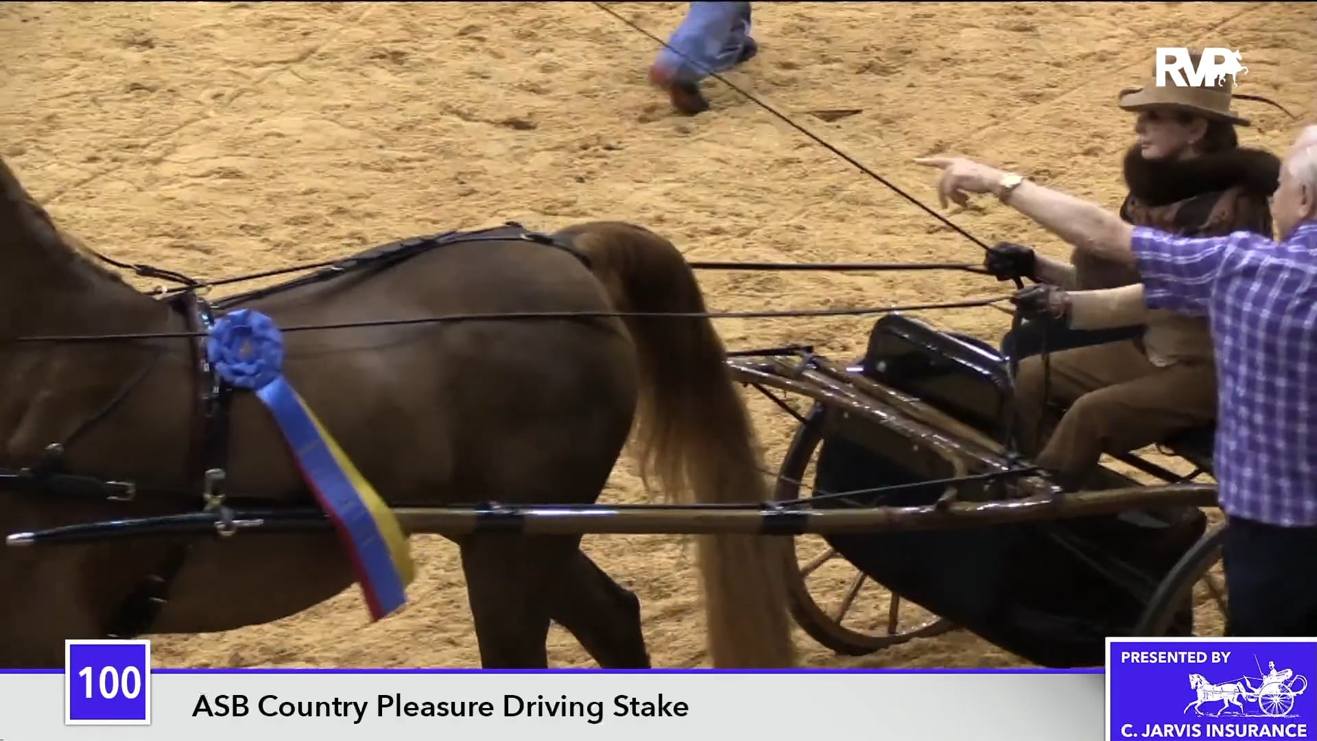 PA18 Class 100 Alde Mar's Luna C