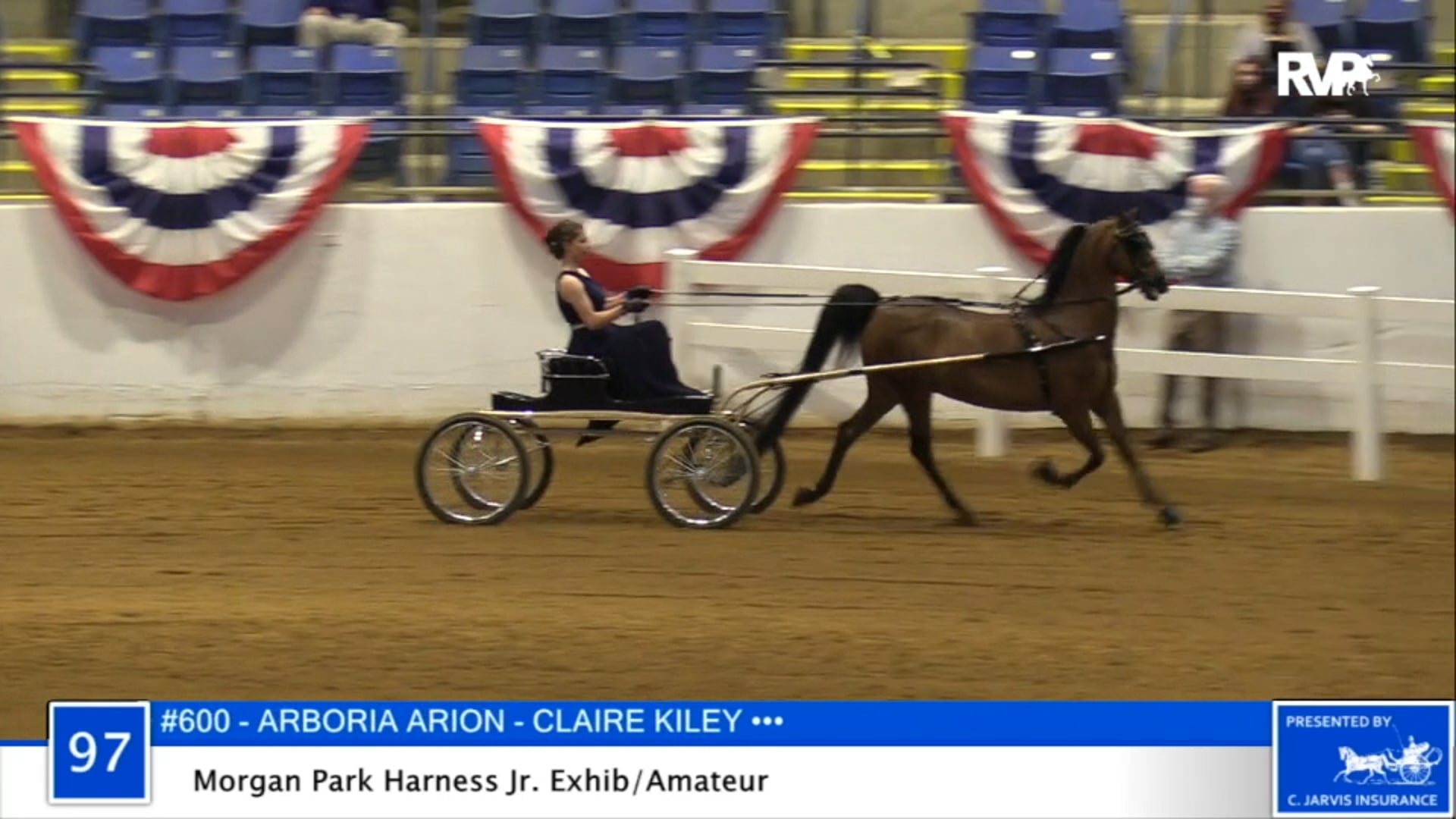 2020 BB - Class 97 Morgan Park Harness Amateur:
Junior Exhibitor