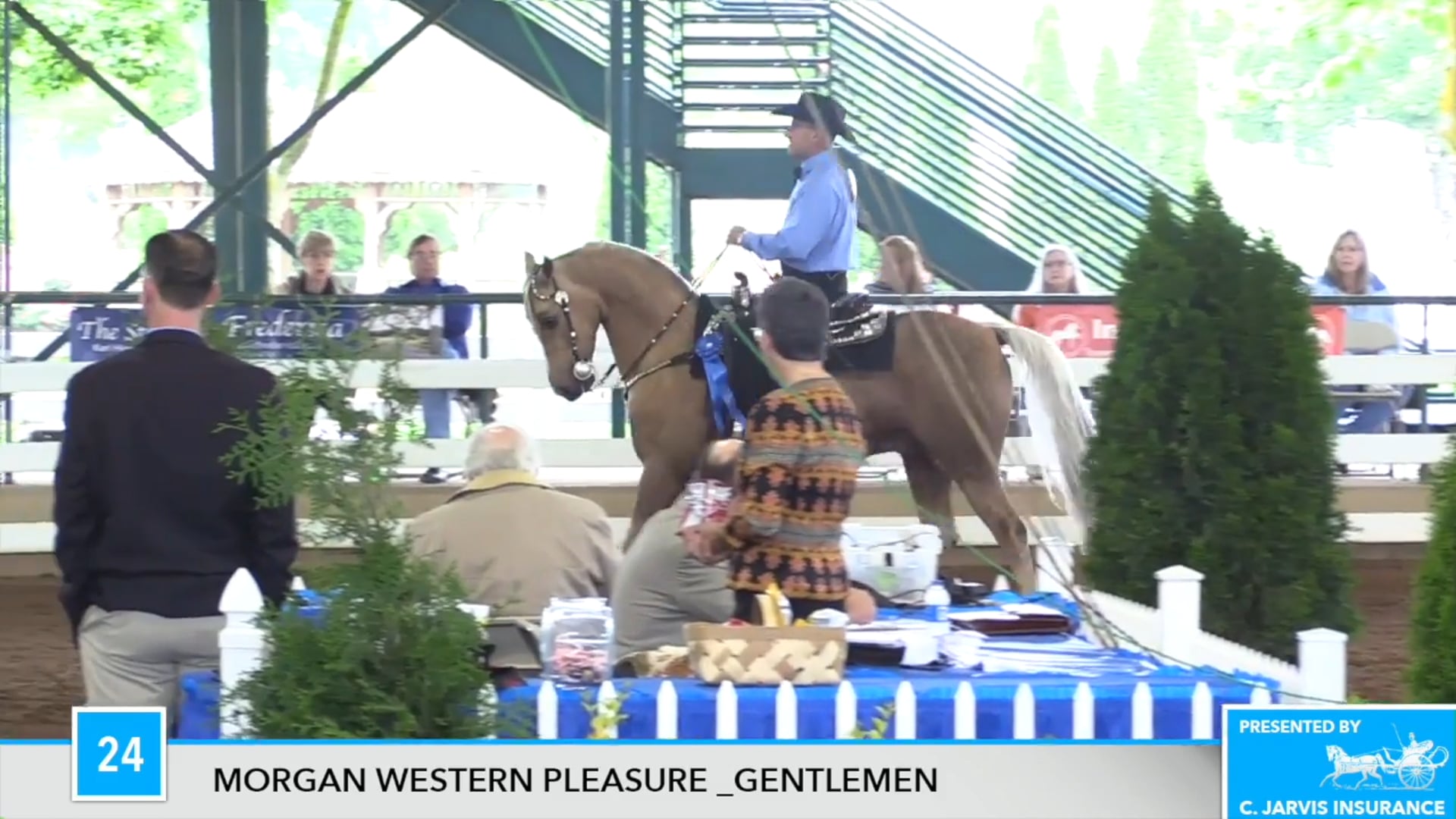 DC17 - Ancan Color Guard