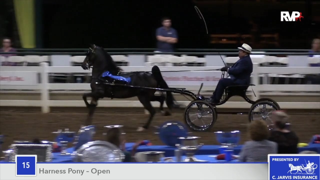 SEC18 - Class 15 - Crystal Creek's Knight Raider