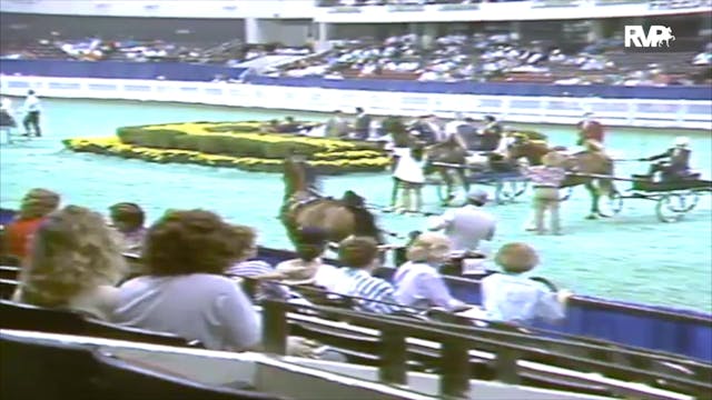 1991 WCHS Class 28 Junior Fine Harnes...