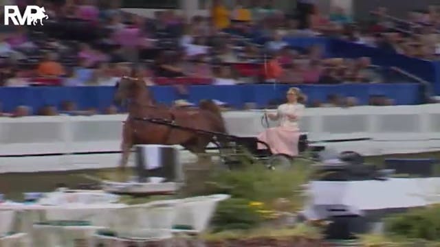 2004 World's Championship Horse Show ...