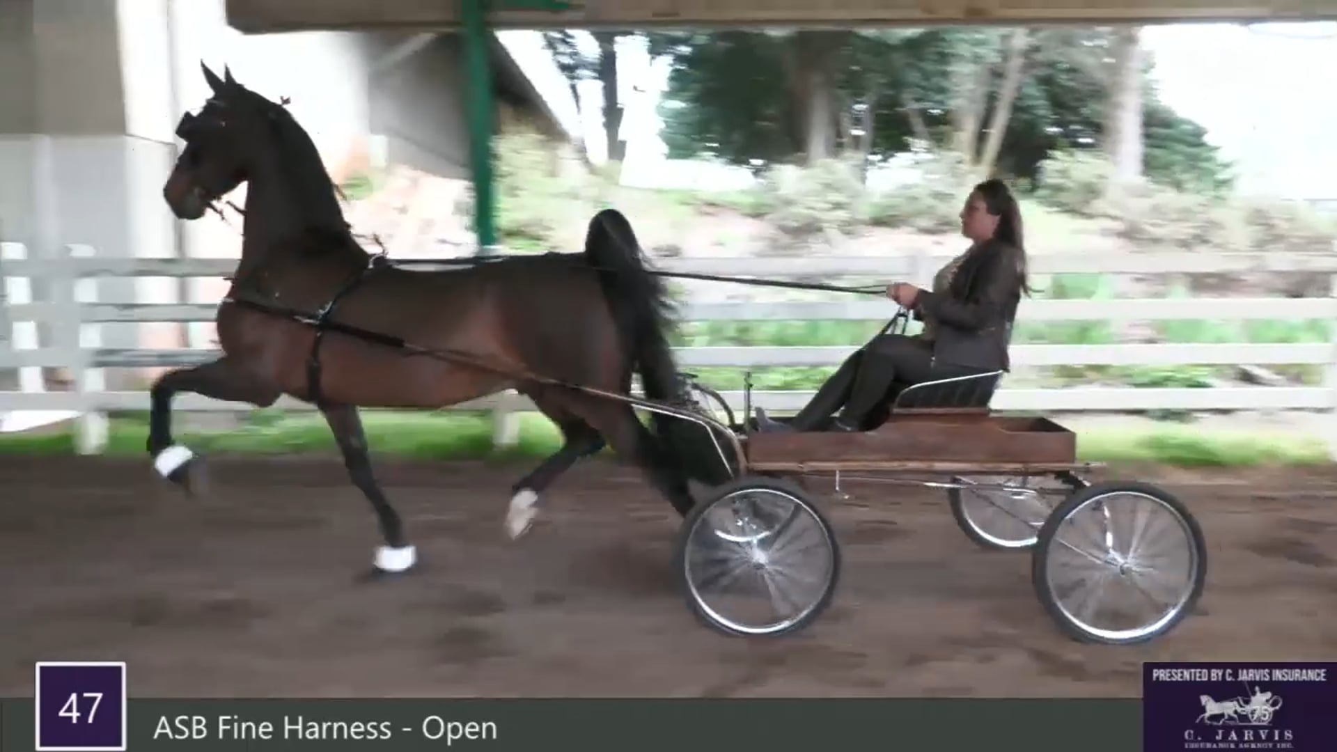 RSP21 - Class 47 - ASB Fine Harness Open