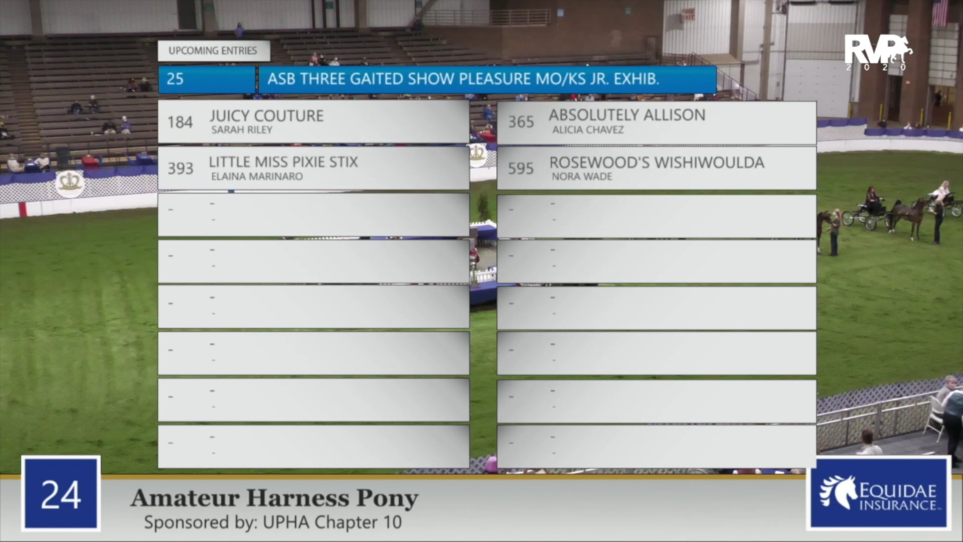 2020 AR - Class 24 Amateur Harness Pony