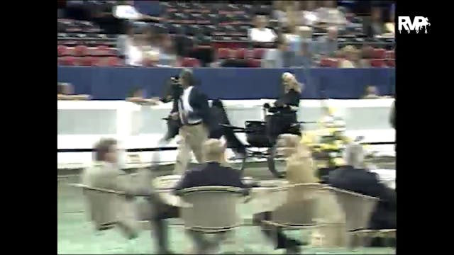 1998 WCHS - Class 182 Junior Harness ...