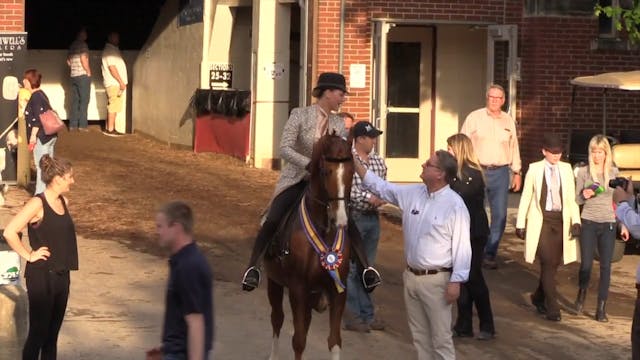 RR17 CH Anderson Cooper Championship