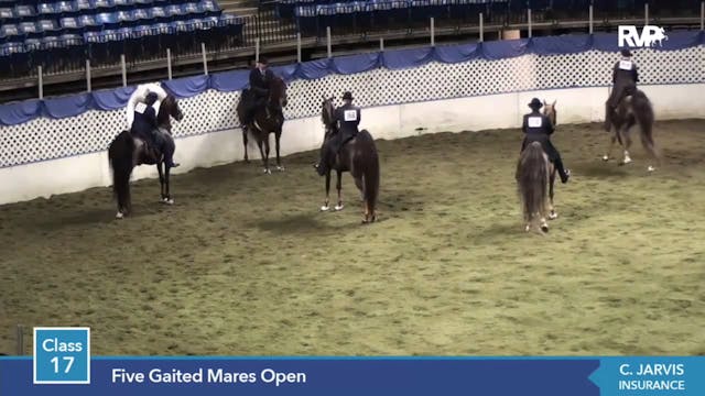 2014 KC - Class 17 Five Gaited Mares ...