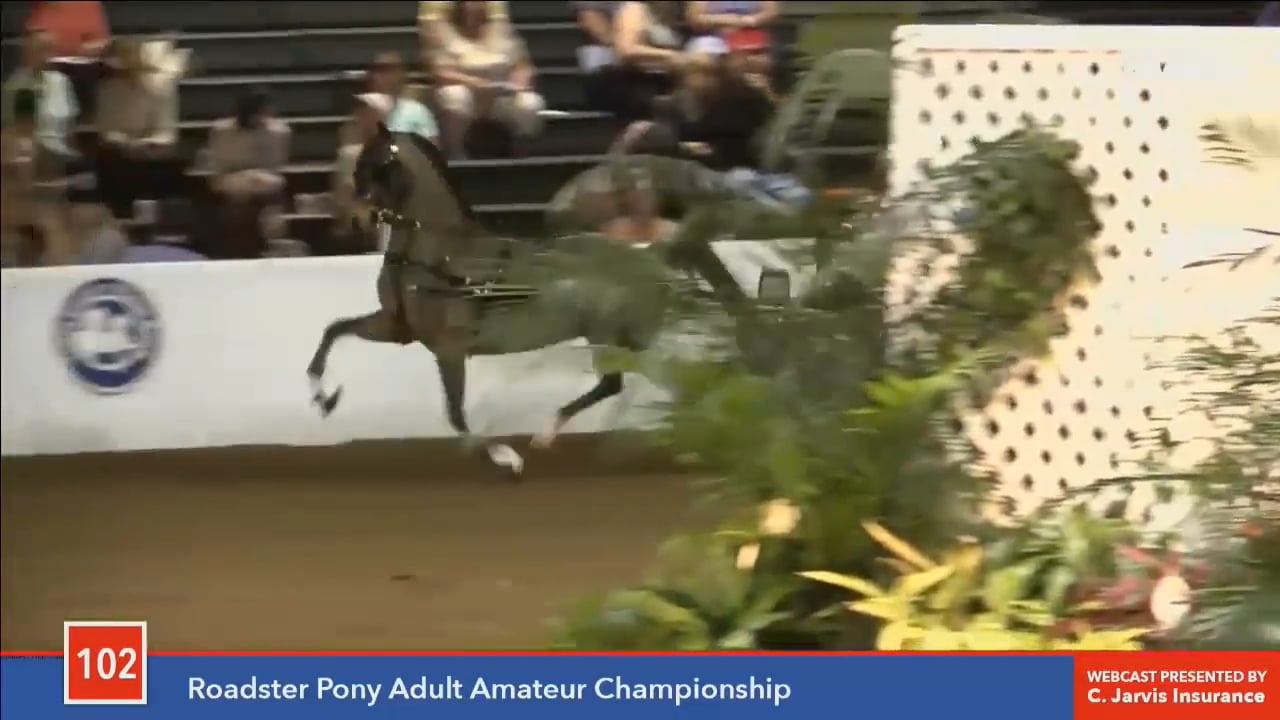 TC16-Saturday Evening