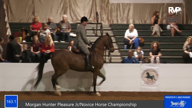 GASP21 - Class 163.1 - Morgan Hunter Pleasure Junior- Novice Horse Championship