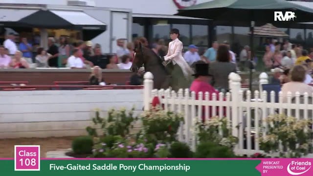2015 LJL - Class 108 Five Gaited Sadd...