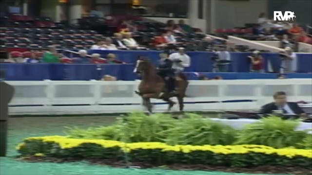 2000 WCHS Class 136 ASB Three Gaited ...