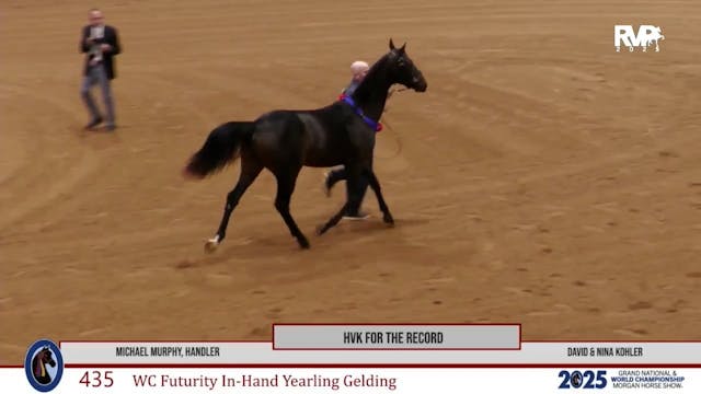 2025 Morgan Grand National - Saturday...