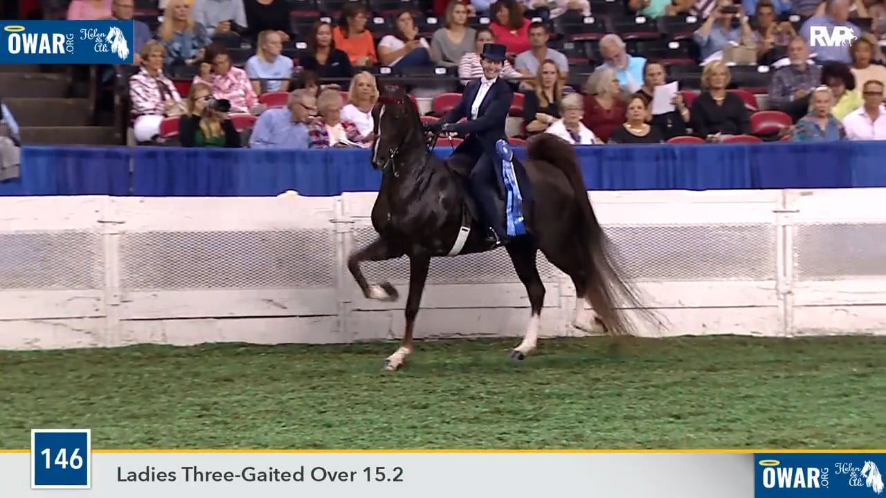 WCHS18 Class 146 - Ch HS Baby Steps