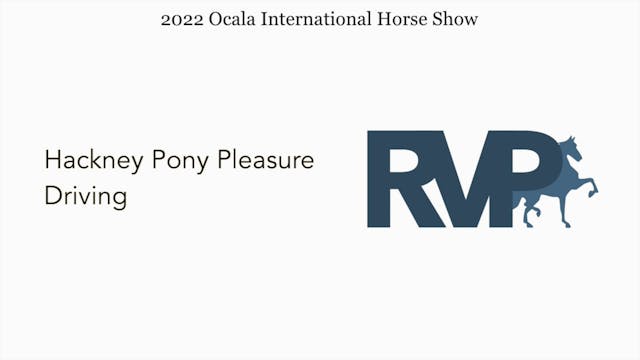 OIHS22 -  Class 7 - Hackney Pony Plea...