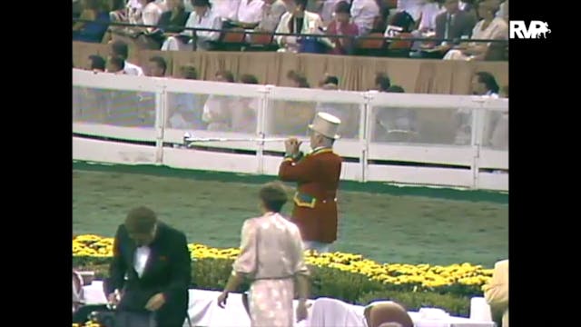 1988 WCHS Class 111 Three Year Old Fi...