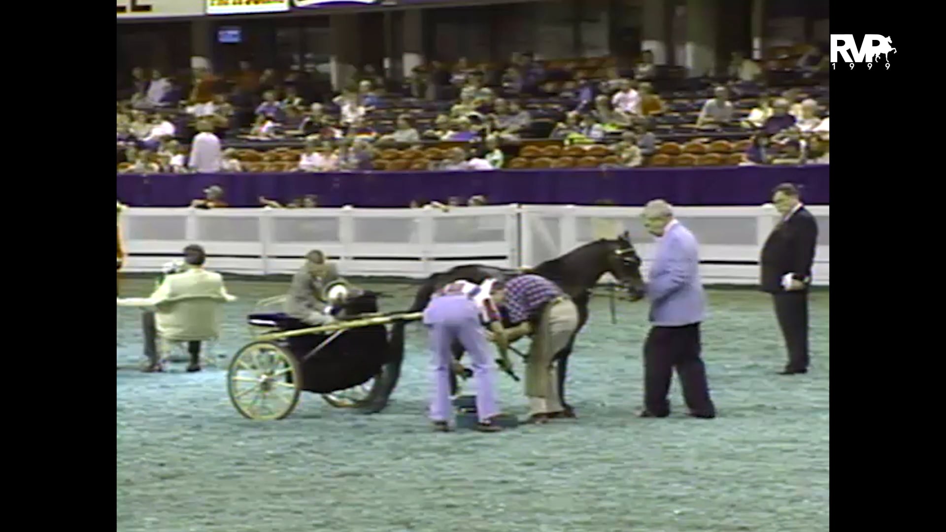1999 WCHS - Class 182 Junior Exhibitor Hackney-Harness Pony Pleasure Driving Championship