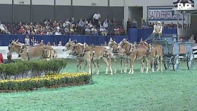 2010 World's Championship Horse Show ...