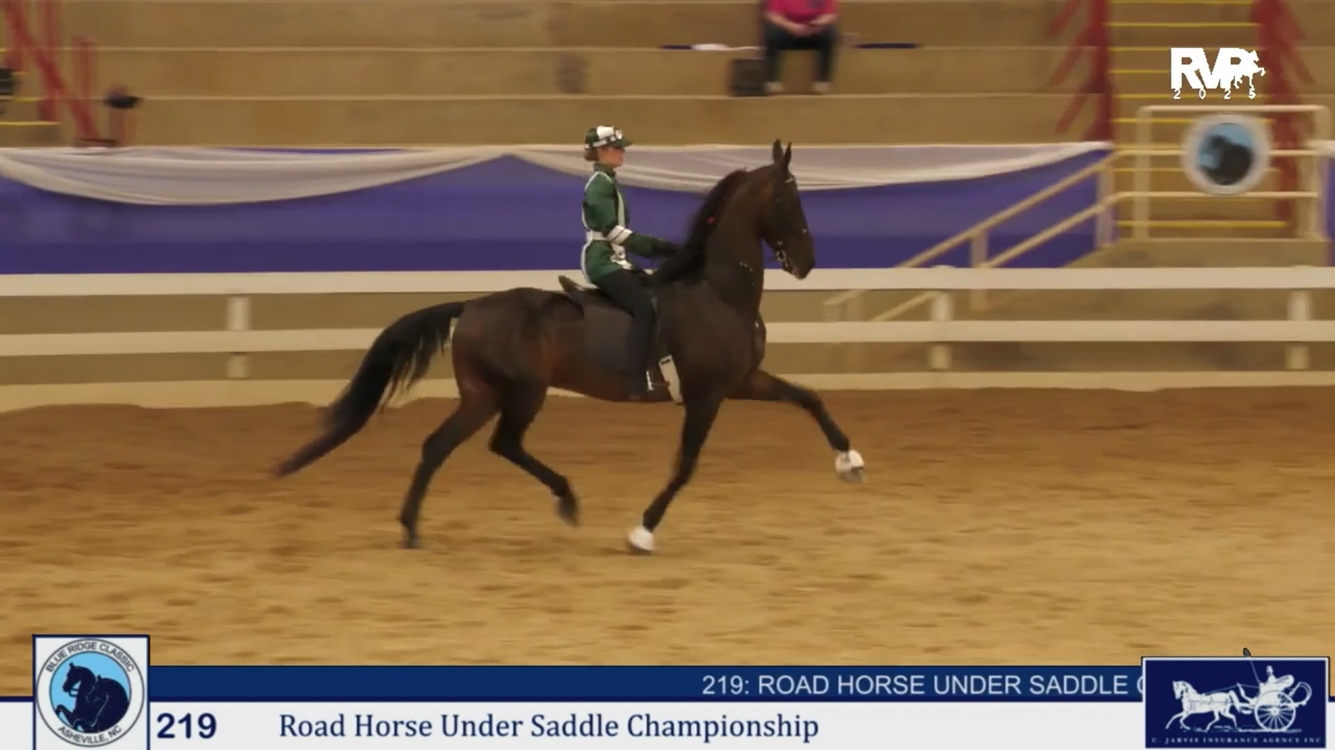 BRC25 - Class 219 - Road Horse Under Saddle Championship