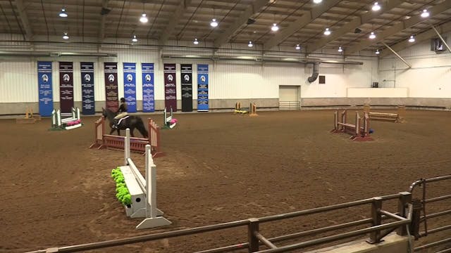 MGN16 - Sport Horse 1 - Wednesday Mor...