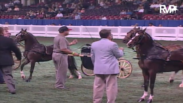2003 WCHS Class 123 Junior Exhibitor ...