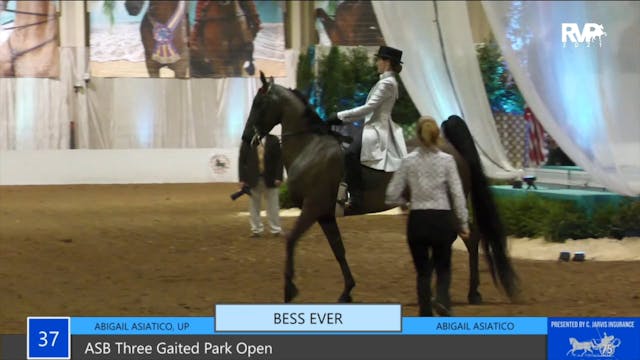 GASP21 - Class 37 - ASB Three Gaited ...