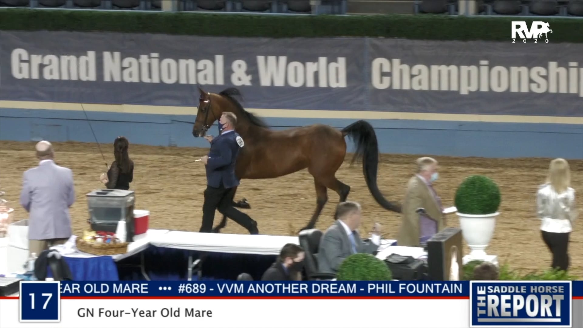 2020 MGN - Class 17 GN Four-Year-Old Mare