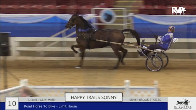 BR22 - Class 10 - Happy Trails Sonny ...