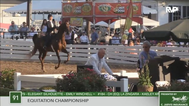 2016 RC - Class 91 Equitation Champio...