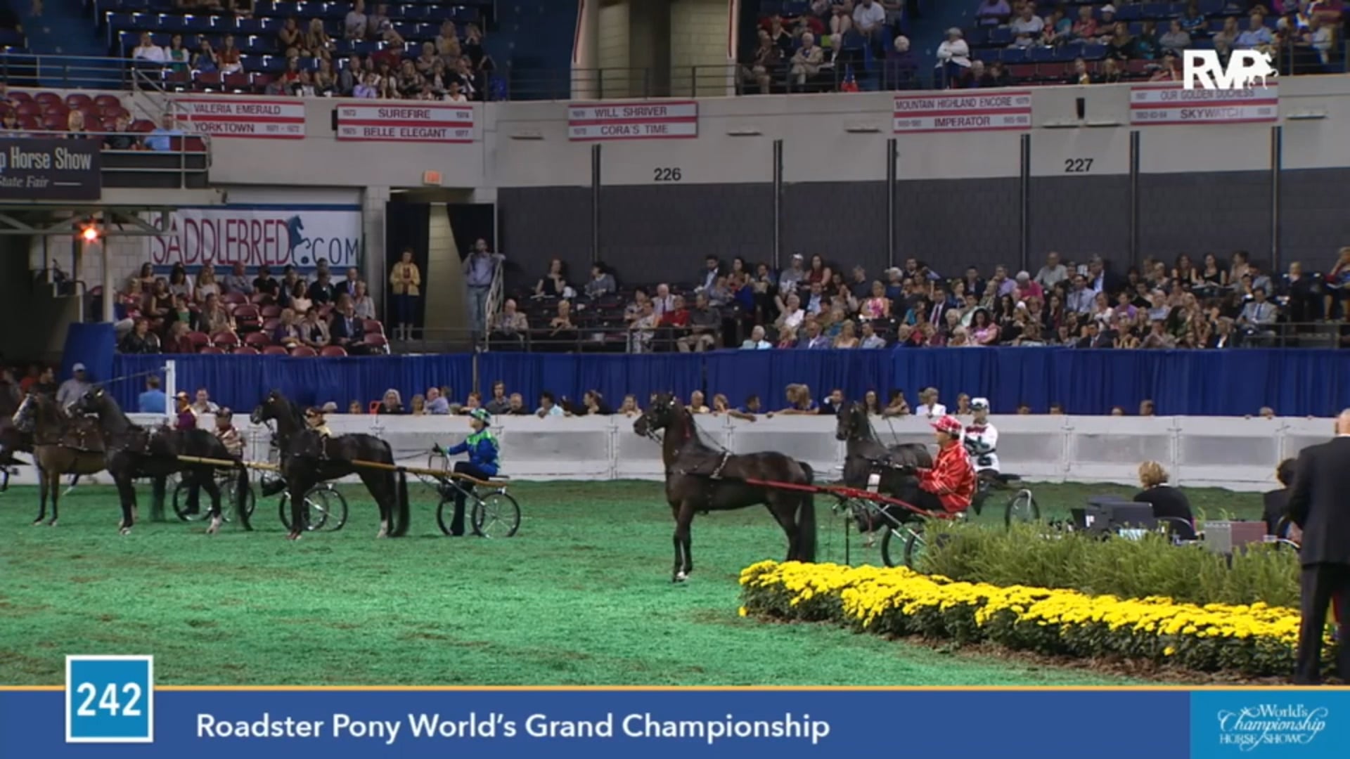 2015 WCHS - Class 242 Roadster Pony World's Grand Championship