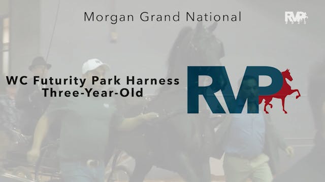 MGN23 - Class 110 - WC Futurity Park ...
