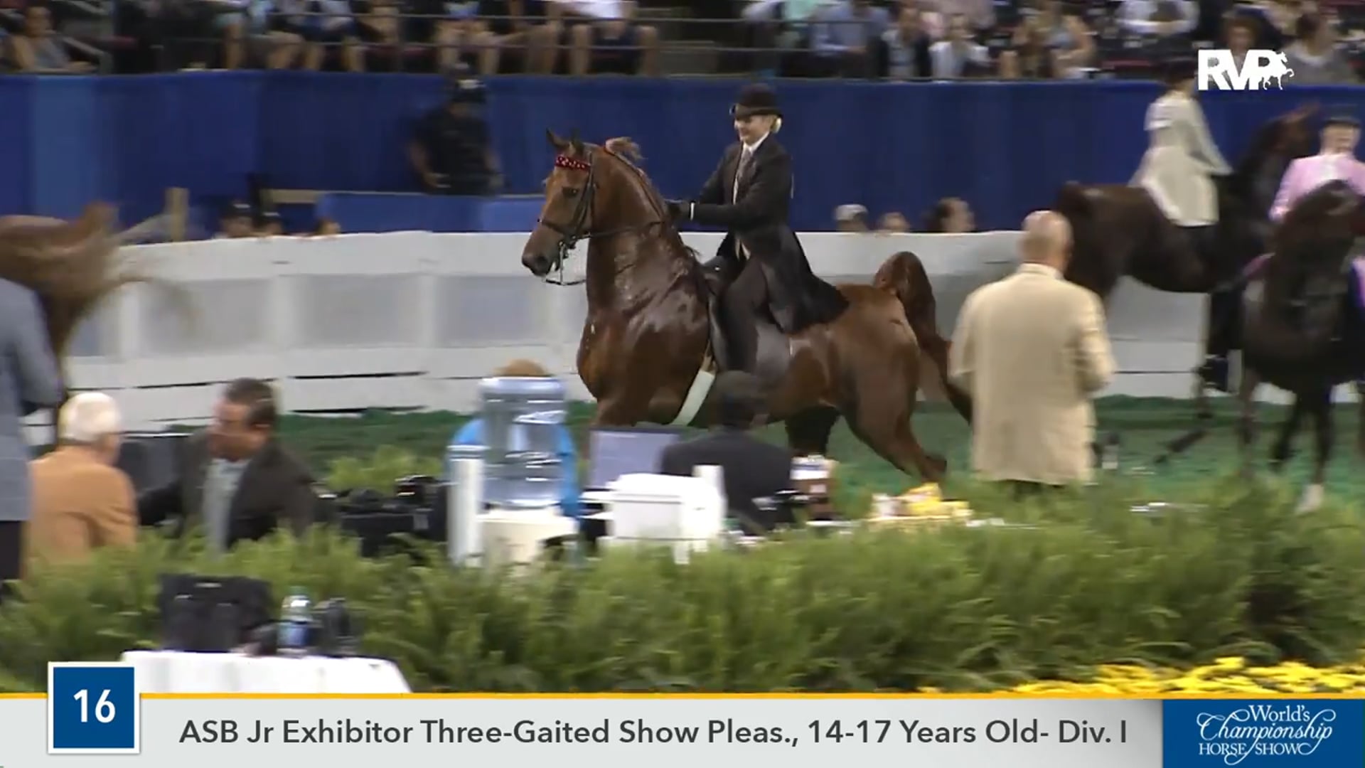 WCHS16 - CH Stonehenge