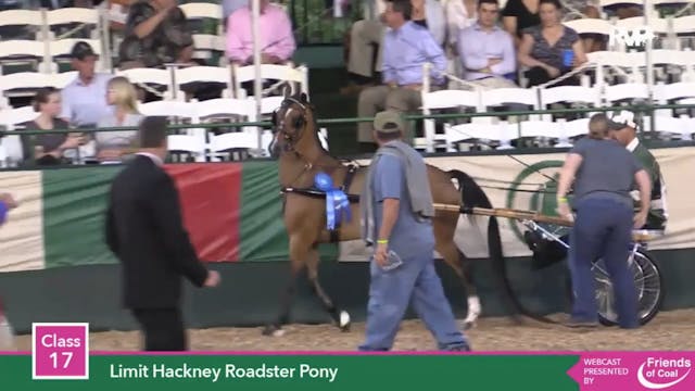 2015 LJL - Class 17 Limit Hackney Roa...
