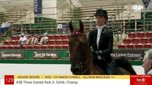 NCSC21 - Class 129 - ASB Three Gaited...