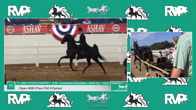 ASHAV17 - Class 10 - Callaway's Cinna...
