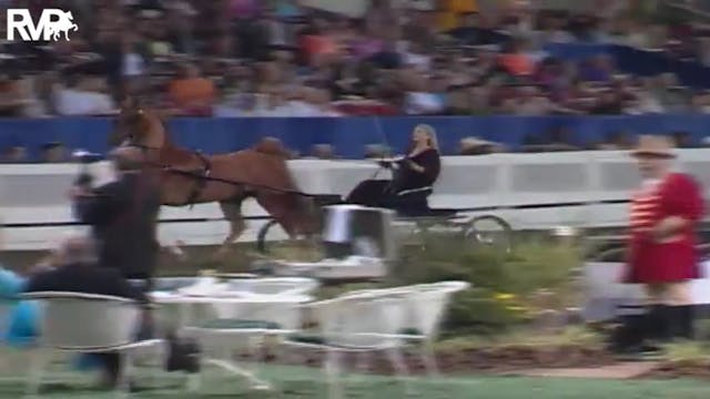 2004 World's Championship Horse Show ...