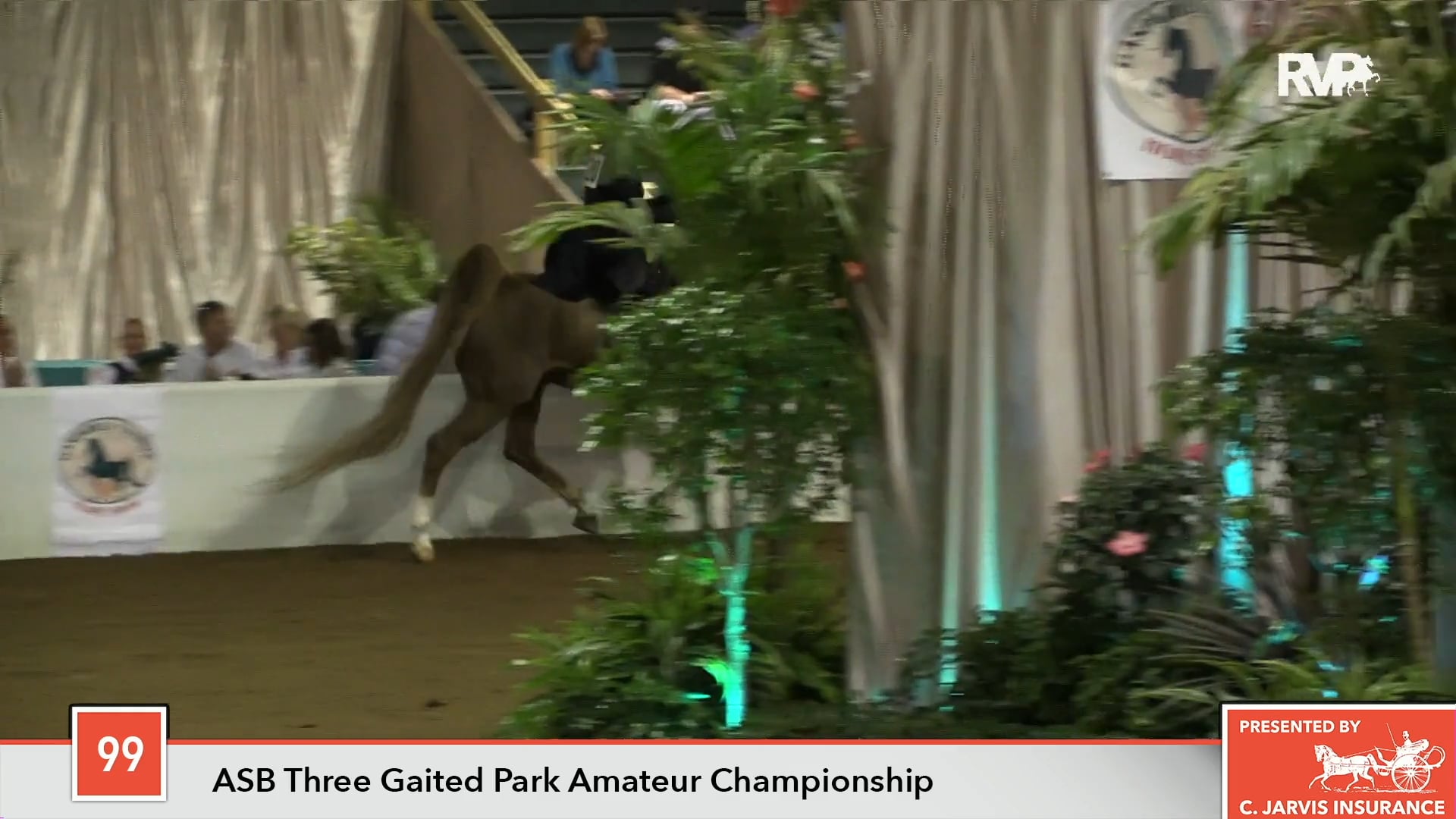 GASP18 - Class 99 - Kalarama's Blue Mac Championship