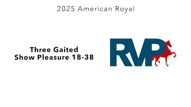 KC25 - Class 41 - Three Gaited Show P...