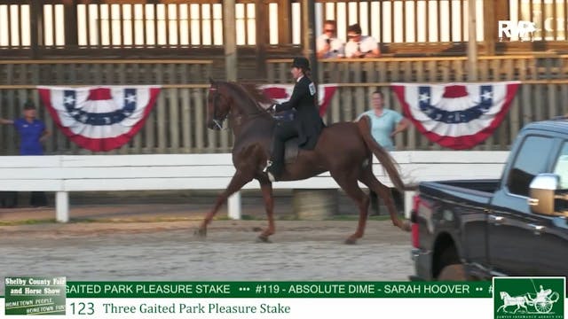 SCF25 - Class 123 - ASB Three Gaited ...