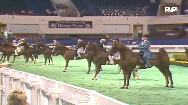1992 WCHS Class 87 UPHA Junior Challe...