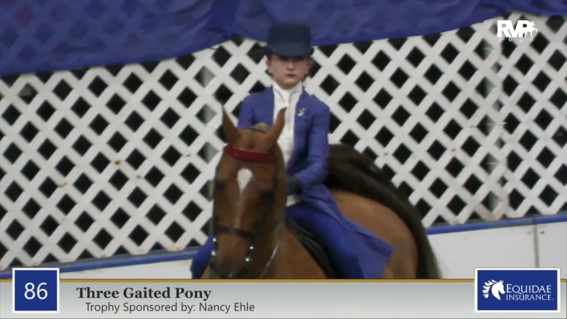 2020 AR - Class 86 Three Gaited Pony