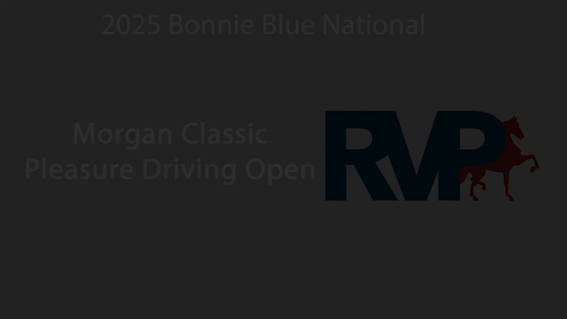 BB25 - Class 53 - Morgan Classic Pleasure Driving Open