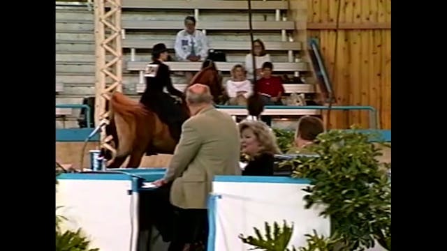 1999 Des Moines Spring Horse Show - U...