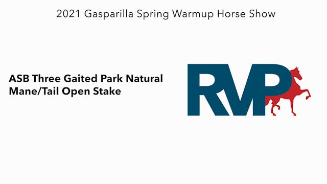 GASP21 - Class 105 - ASB Three Gaited...