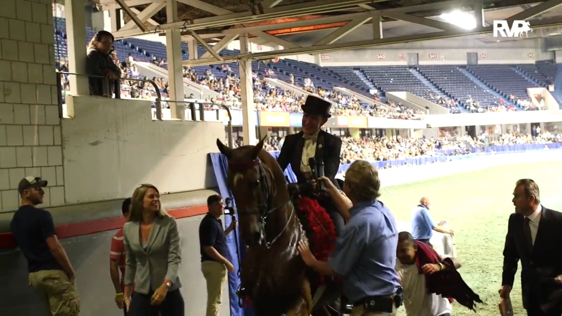 WCHS15 - Moonbeams and Dreams - Ladies Amateur Three Gaited Championship 