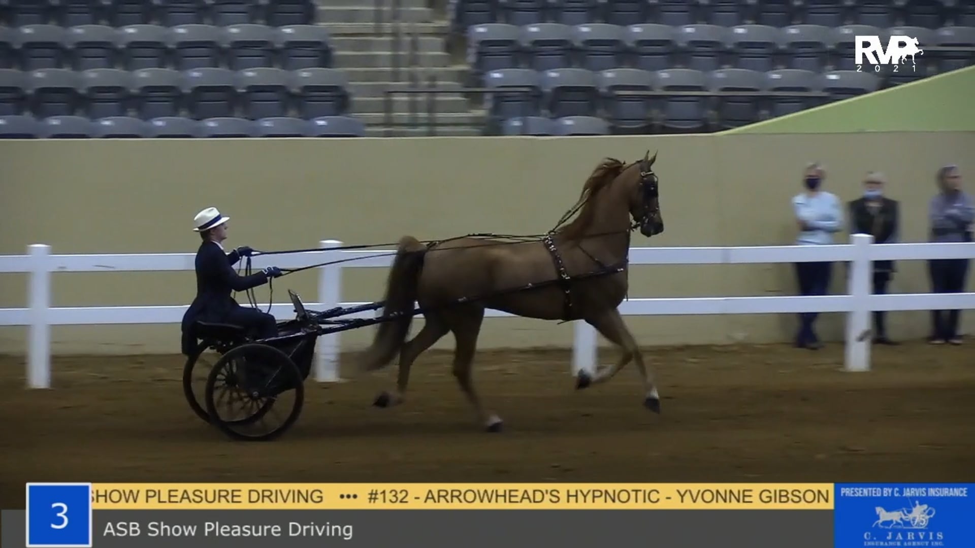 KYSP21 - Class 3 - Show Pleasure Driving