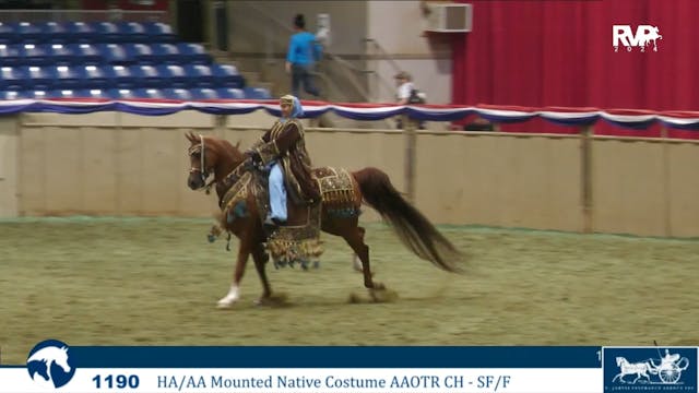 AN24 - Class 1190 - HA-AA Mounted Nat...